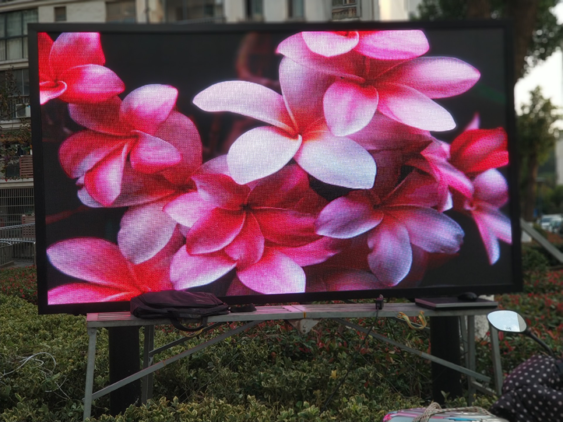 室外P5.jpg